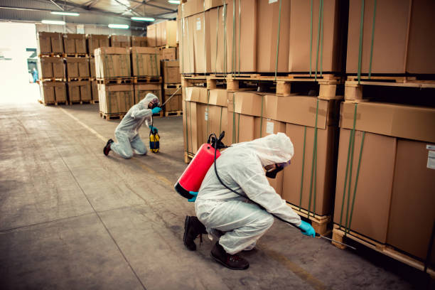 Best Pest Prevention Services  in Roebuck, SC