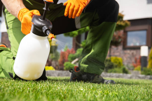 Best Emergency Pest Control  in Roebuck, SC