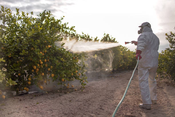 Best Local Pest Control Services  in Roebuck, SC