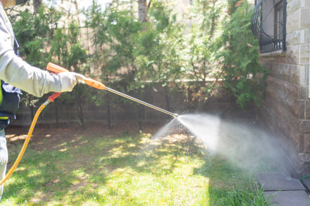 Best Residential Pest Control  in Roebuck, SC