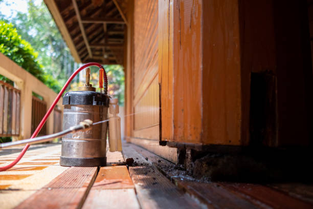 Pest Prevention Services in Roebuck, SC