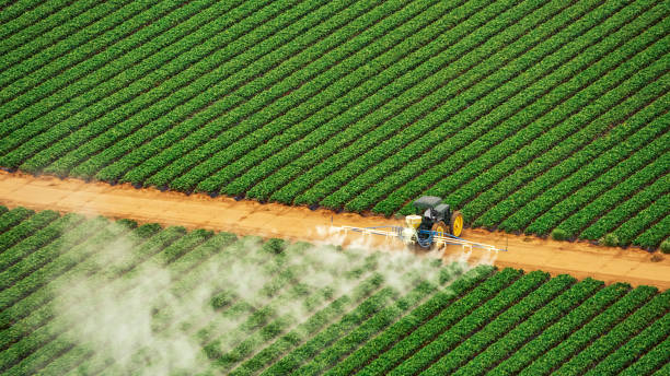 Best Insect Control  in Roebuck, SC