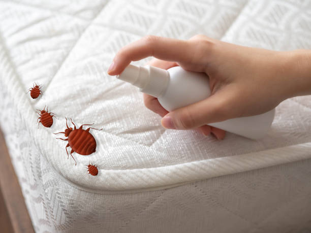Best Residential Pest Control  in Roebuck, SC