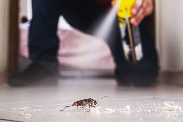 Reliable Roebuck, SC Pest Control Solutions