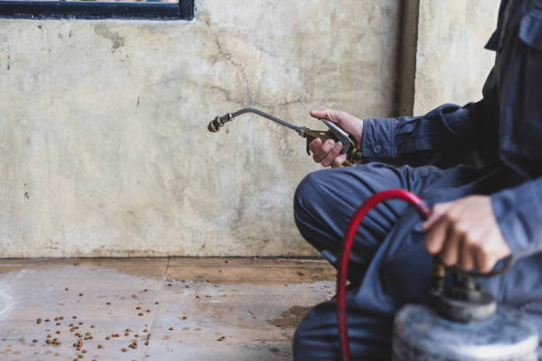 Best Mosquito Control Services  in Roebuck, SC