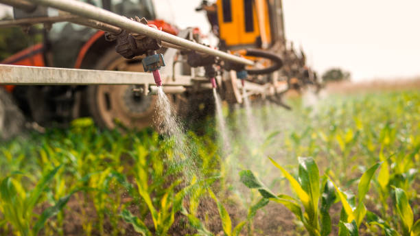 Best Best Pest Control Companies  in Roebuck, SC
